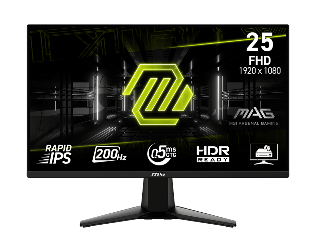 MSI Monitor MAG 255F E20